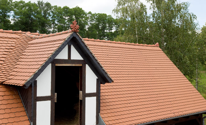 Fledermausgaube Bieberschwanz